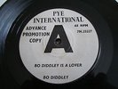 BO DIDDLEY  BO DIDDLEY IS A LOVER  PYE DEMO  BARGAIN