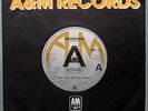 BEATLES Paul Linda McCARTNEY Suzy & The Red Stripes UK DEMO Seaside Woman 1979