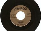 SURF GUITAR INSTRUMENTAL ROCKER- THE POLARAS- 