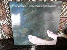 ROEDELIUS - WENN DER SÜDWIND WEHT SKY 064 GROSSE  SKY AUKTION KRAUTROCK