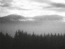 ULRICH SCHNAUSS & MARK PETERS Underrated Silence LP NEW VINYL +CD Bureau B