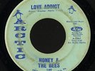 Northern Soul 45   Honey & the Bees   Love Addict   Arctic   mp3 rare