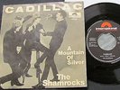 The Shamrocks 7