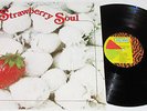 BILLY MARTIN -  STRAWBERRY SOUL CANADIAN FUNK LP **ORIGINAL** TRANS WORLD LABEL