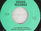Guitar Ray-I Am Never Gonna Break His Rules-Youre Gonna Wreck My Life-Shagg