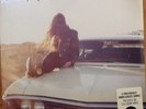 BRUCE SPRINGSTEEN AMERICAN BEAUTY 12