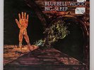 BIG SLEEP - BLUEBELL WOOD - 1971 LP- PEGASUS FIRST PRESSING - VERY RARE
