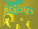 The Stranglers Peaches 7