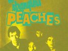 THE STRANGLERS 7