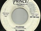 THE SCARLETS - STAMPEDE - GARAGE INSTRO KILLER ON STRUMMIN' MENTAL VOL. 1