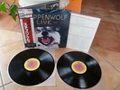 Steppenwolf