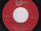 Ska Reggae EP - V/A (ft. Blues Busters & Virtues) - Dance The Ska -Sunshine- mp3