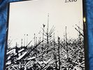 EA80 Vorsicht Schreie - LP - Vinyl - Punk - sehr  guter Zustand