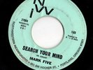 Garage Psych 45 MARK FIVE Search Your Mind/Determination HEAR Rare Portland OR