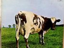 ENGLISH PRESSING PINK FLOYD QUADRAPHONIC STEREO LP * ATOM HEART MOTHER