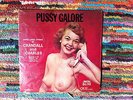 Pussy Galore Crandall & Charles Songs, Jokes, and Stories QUE LP 444 NYC 33RPM