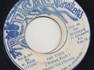 '88 ROOTICAL VIBRATIONS DIGI KILLER 45 ELKANA GORDON THE EDEN rare ?