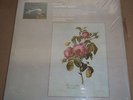 Morison/Vyvyan/Pears/Lewis PURCELL Fairy Queen - L'Oiseau-Lyre OLS 121/3 SEALED