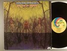 American Blues  Do Their Thing      Pre ZZ Top    Psych