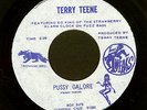 TERRY TEENE Pussy Galore 45 GARAGE Mod FUZZ Ed King Skynyrd Hunger SAC Hear It