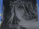 INQUISITION / PROFANE CREATION ?– Summoning The Black ... LP UCR LP 0512 RAR