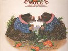 ROCK PROG PSYCH - MATCHING MOLE 