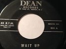 RARE DOO-WOP 45/ THE CAMEOS (EMERALDS) 