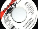 TREVOR HARTLEY/BLACK ROOTS Orig JA 45/AFRICA WE GO - VERSION..EX..LISTEN
