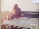 Springsteen American Beauty 12