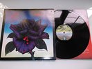 THIN LIZZY-BLACK ROSE...1ST ISSUE EXCELLENT/EXCELLENT VINYL LP 1979