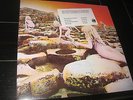 Led Zeppelin Houses of the holy sealed new Hype sticker SD 19136