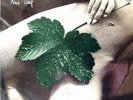 East Of Eden New Leaf (LP)