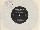 FLY ON THE WALL Devon Dumb EP Rare UK DIY PUNK 7