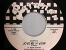Modern Soul 45 - David Nevin - Love Is In View - Pardner Records - LISTEN