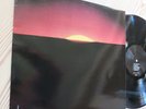 TRANS AM - Surrender To The Night  Vinyl LP City Slang