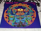 The Grateful Dead ?– Anthem Of The Sun - Vinyl Stereo WS1749 - 1968 Orange Label