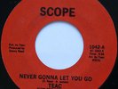 Rare Sweet Soul 45 - TEAC - Never Gonna Let You Go - SCOPE mp3 Vg++ Killer