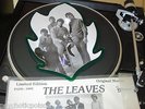 THE LEAVES - Hey Joe ?? LEAF SHAPED PICTURE DISC  Panda Records PAPD 1003 - 1982