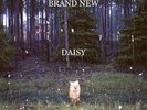 Brand New Daisy (180 Gram LP/Gatefold) Vinyl New