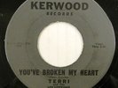 TERRI & VELVETEENS 45 You've Broken My Heart Rare Doo Wop #SP 76