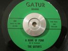 NOLA Funk/Soul 45 The Gaturs - A Hunk Of Funk/Yeah You're Right GATUR RECS NM