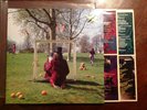 An Introduction to Syd Barrett 2x12