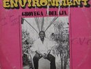 Gboyega Adelaja Colourful Environment MEGA SUPER RARE AFRO FUNK DISCO BOOGIE LP