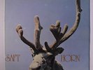 SAFT: Horn LP (Norway, scuffed disc plays well light noise) rare Rock & Pop