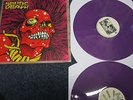 SEPTIC DEATH DISCOGRAPHY X 2 LP THE MISFITS METALLICA 243 0F 250 THE CLASH