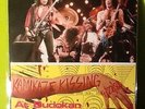 Kiss -Kamikaze Kissing At Budokan DoLP    not TMOQ 