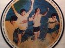 The Beatles-The Decca Tapes Picture Disc