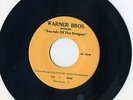 BRUCE LEE 7