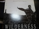 DONETTE FORTE – WILDERNESS – RARE JAH WORKS LP 1991 - JAH SHAKA KILLER