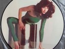 KATE BUSH - The Kick Inside - Rare 1st Press UK Picture Disc LP